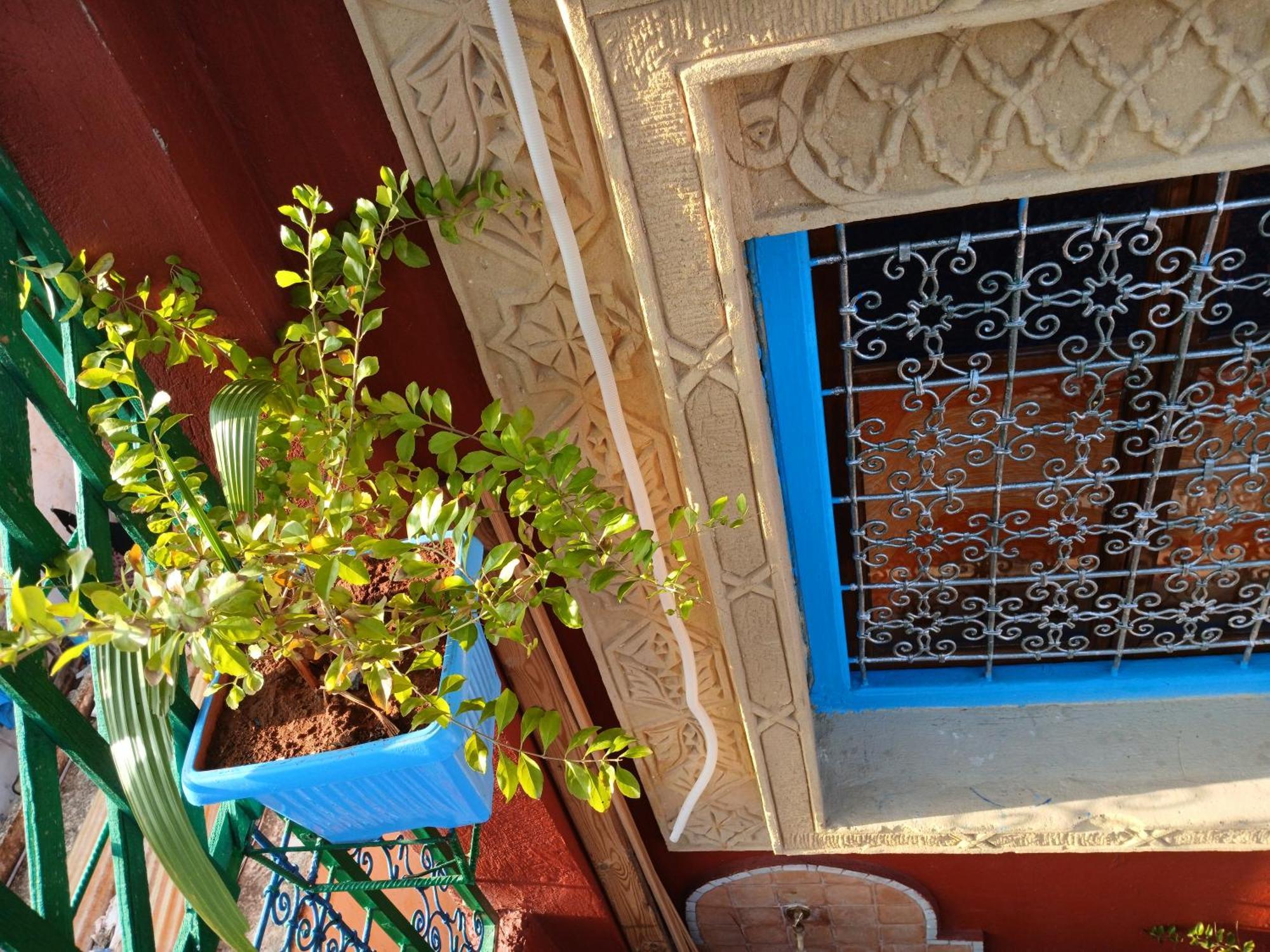 Riad Idrissi แมกเนส ภายนอก รูปภาพ