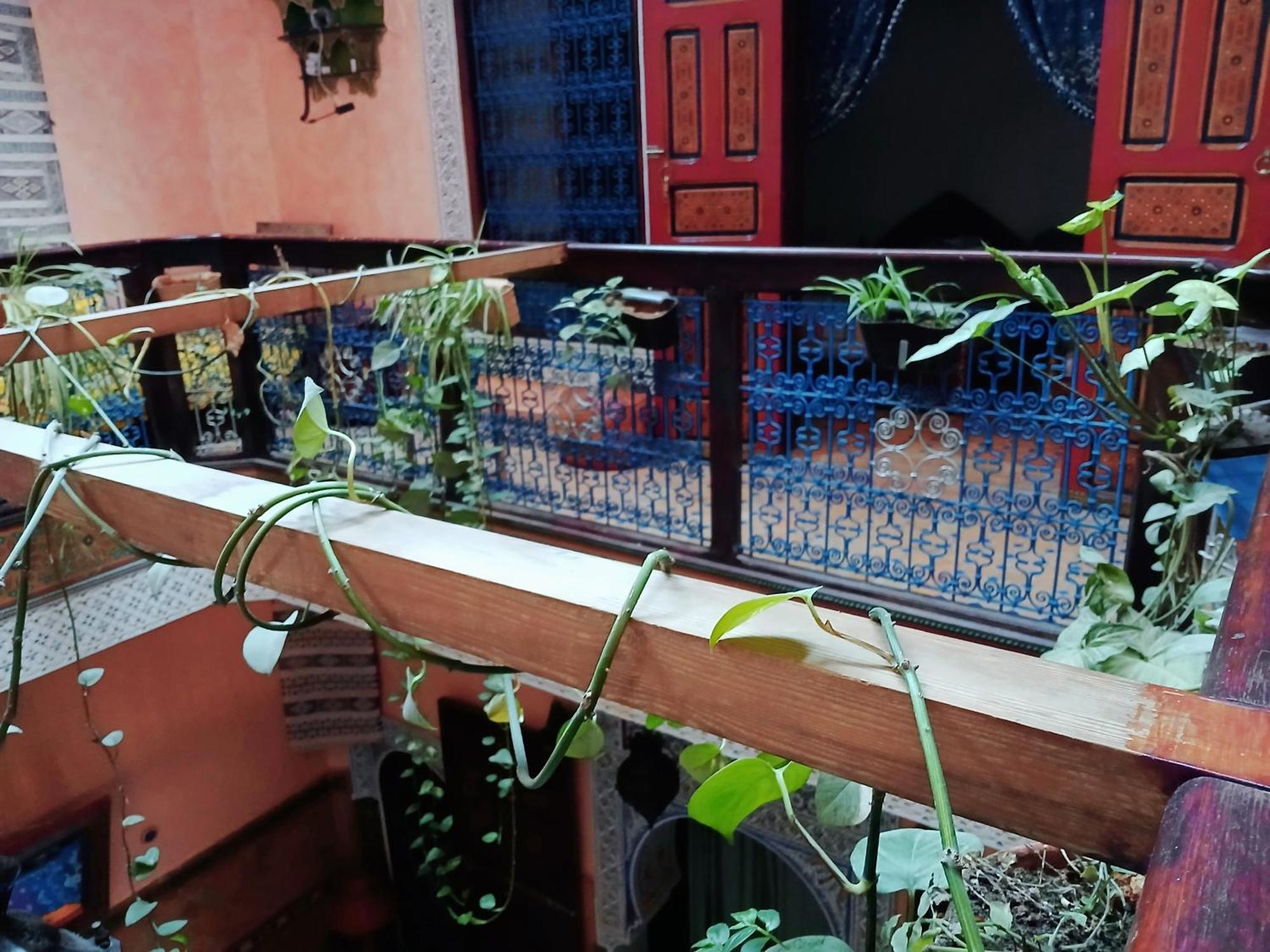 Riad Idrissi แมกเนส ภายนอก รูปภาพ